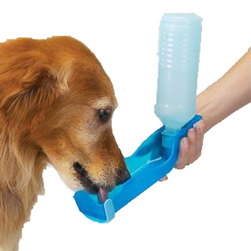 puede mi perro beber agua de botella-Eurofontanilla